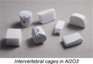 Intervertebral cages in Al2O3